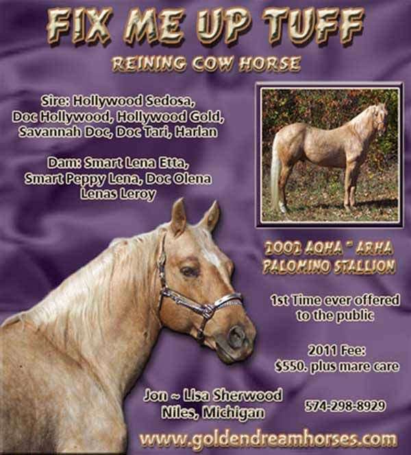 Golden Dream Horses on EquineNow