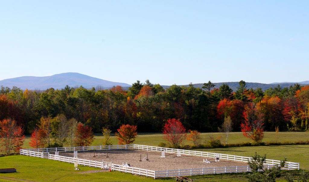 Windswept Farm on EquineNow