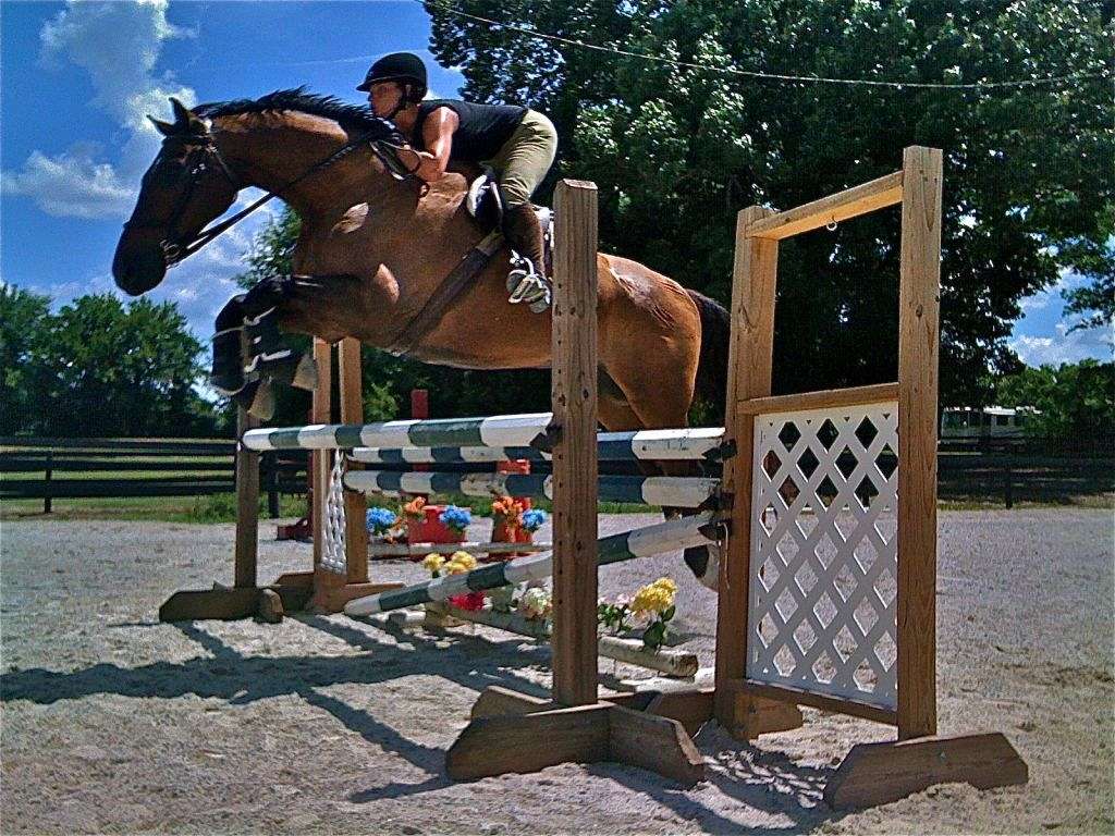 Seven Oaks Equestrian Center on EquineNow