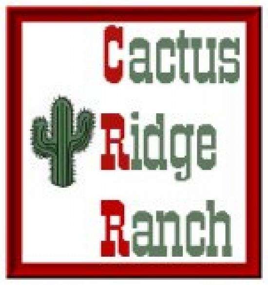 cowboy cactus plant Cowboy Cactus 🌵 280mm&400mm (Pickup/Delivery) main image 1