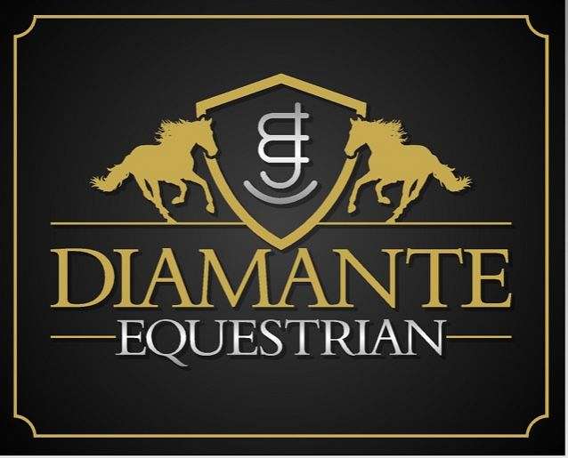 Diamante Equestrian On Equinenow