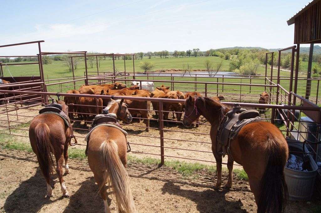 Four Winds Ranch on EquineNow