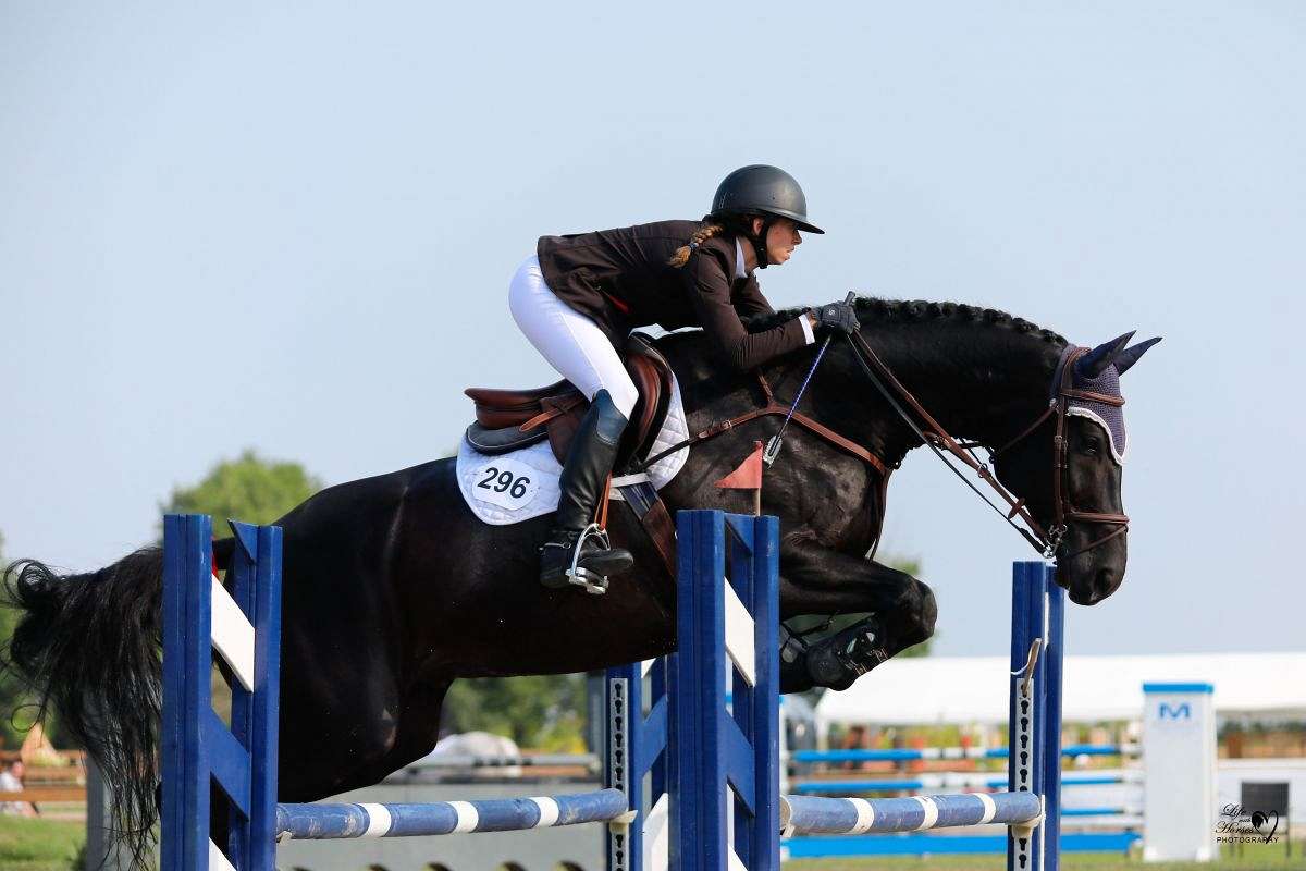 Meraki Equestrian on EquineNow