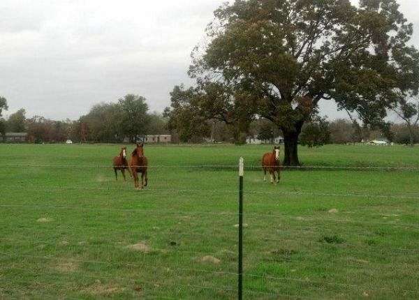 Silver Lake Ranch on EquineNow