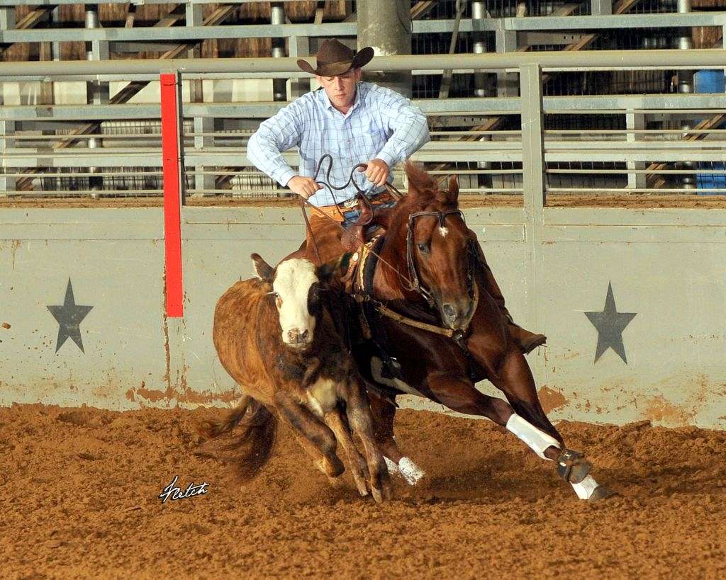 Double A Performance Horses on EquineNow