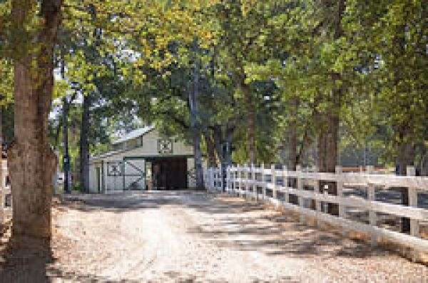 Trickle Creek Ranch On Equinenow