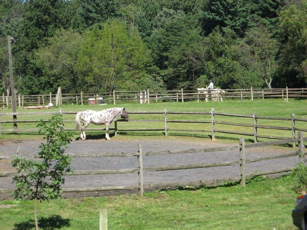 Monastery Stables on EquineNow