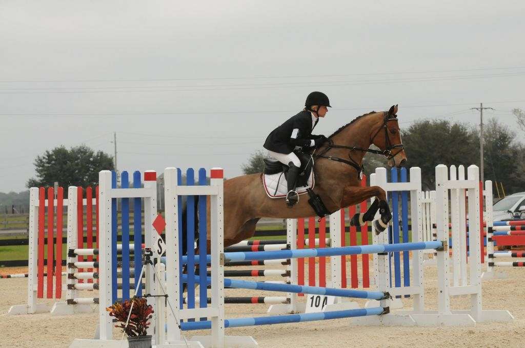 ANDREA KAVANAGH MARCZAK BELLE RIVER FARMS on EquineNow