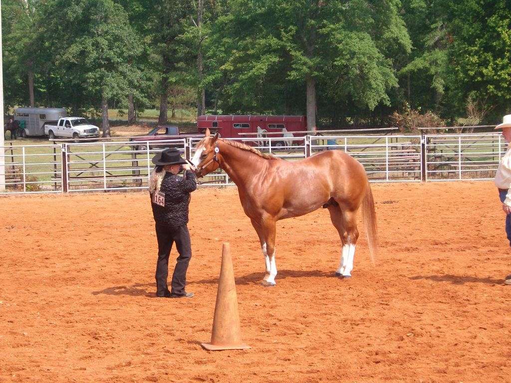 Circle C Farm On Equinenow