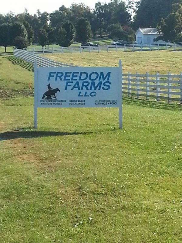 Freedom Farms on EquineNow