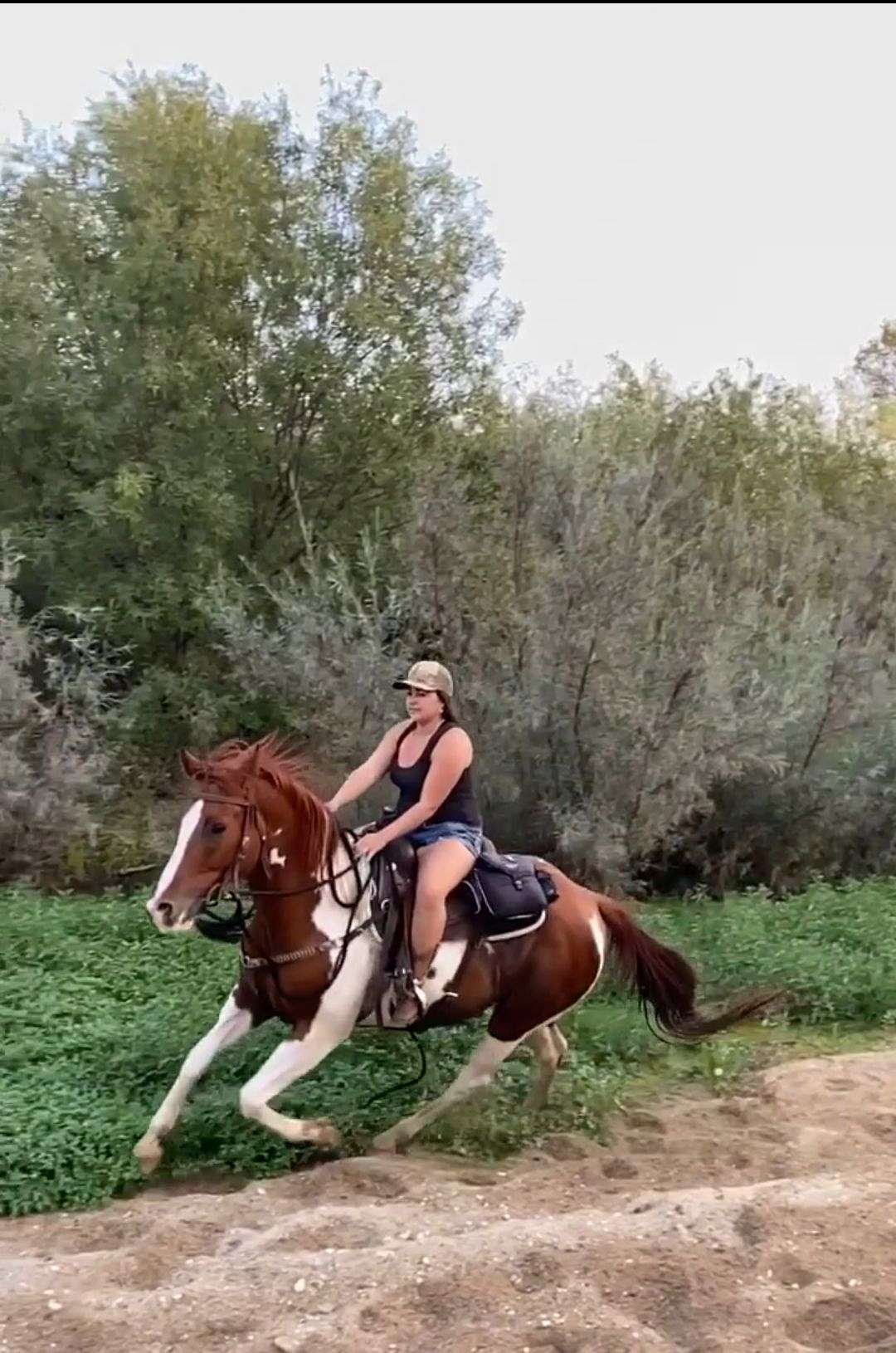 My Little Farm on EquineNow