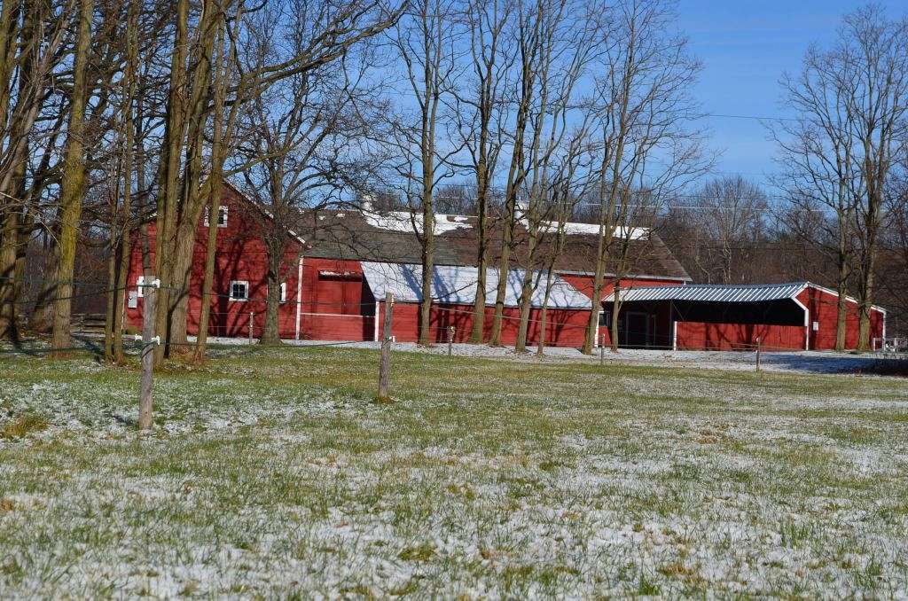 Starr Farm Basic Horse Boarding in Burlington VT on EquineNow