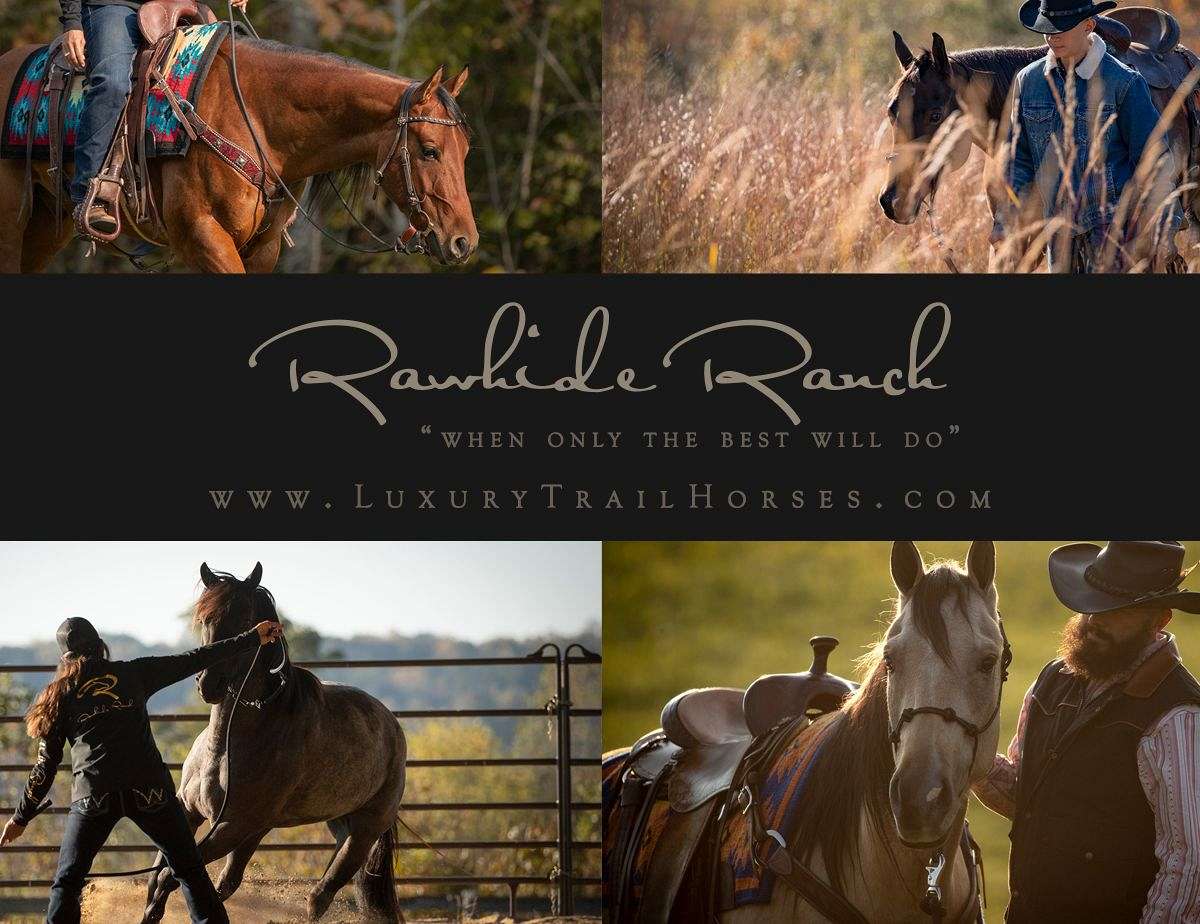 Rawhide Ranch Luxury Trail Horses on EquineNow