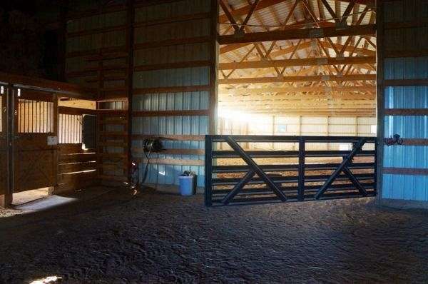 Murphy Stables on EquineNow