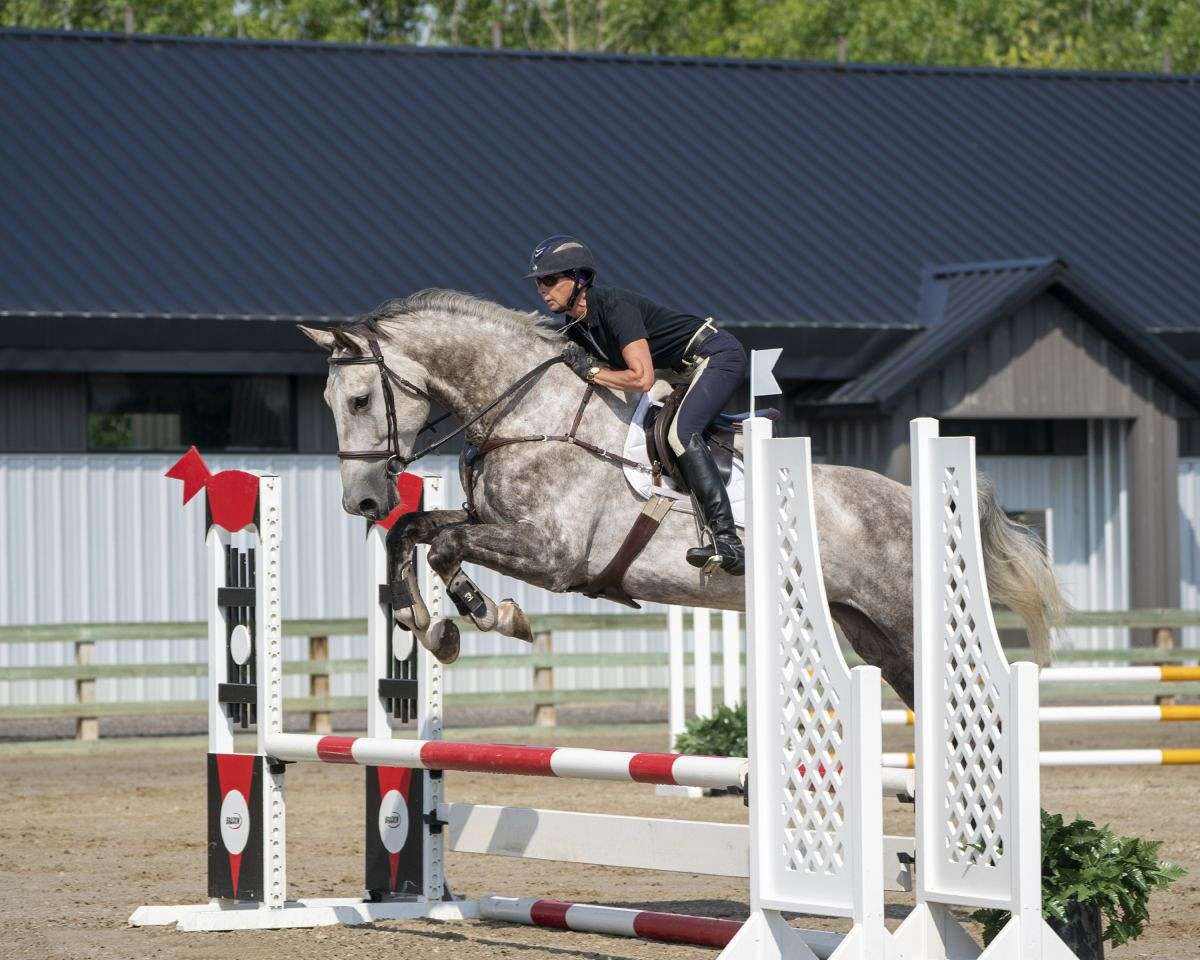 Essex Equestrian on EquineNow