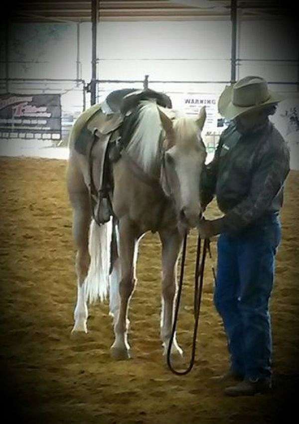 Rocking B Ranch John Baird Horsemanship on EquineNow