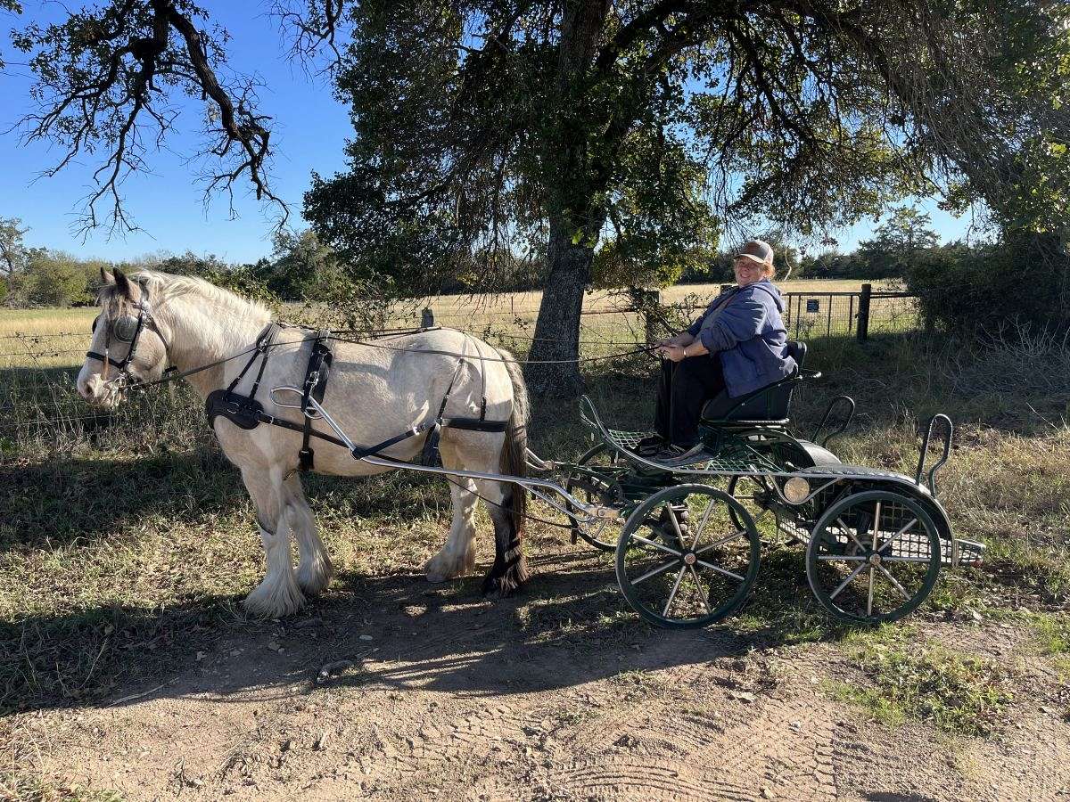 My Broken Heart Ranch on EquineNow