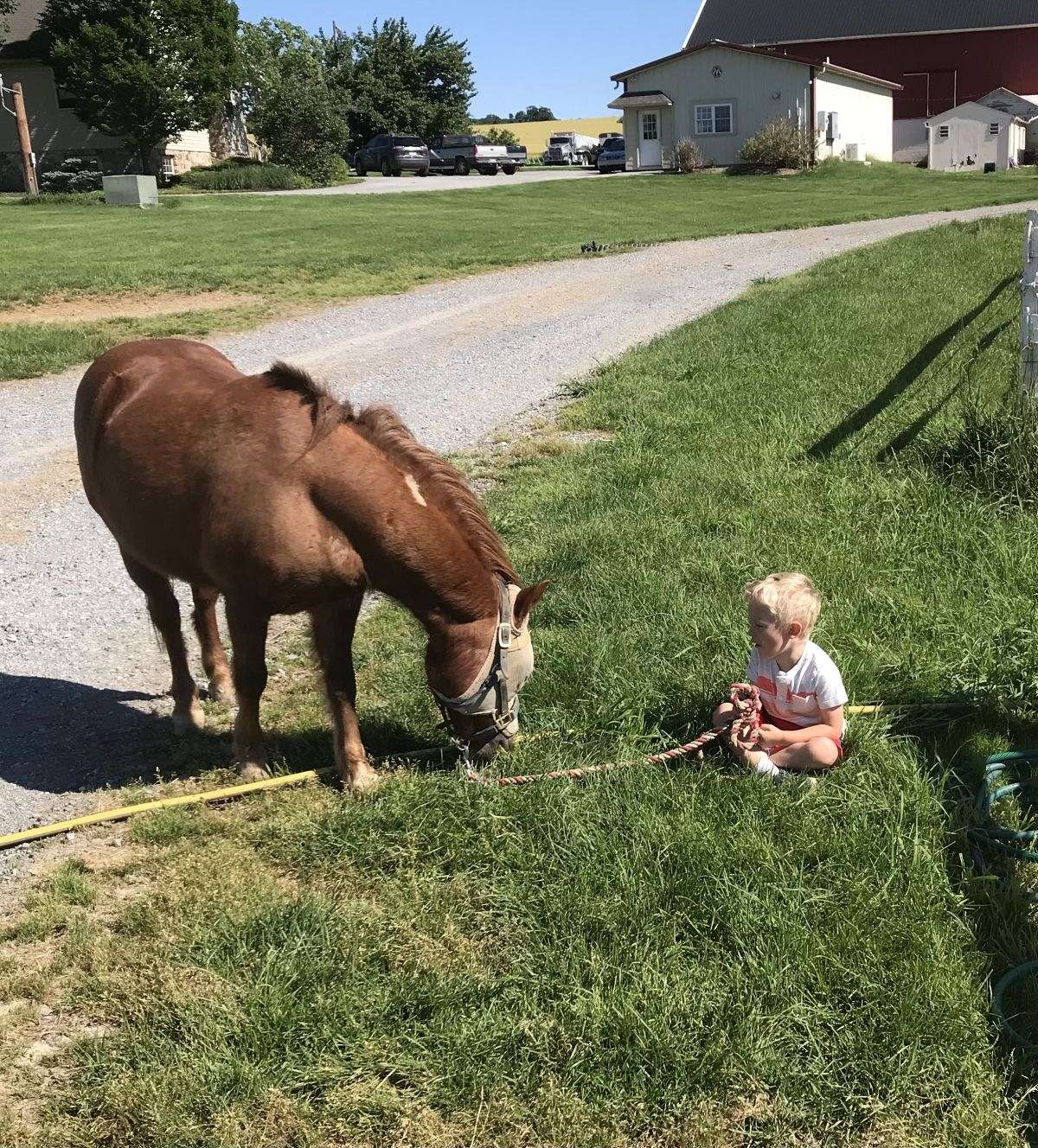 Top Line Stables, LLC on EquineNow
