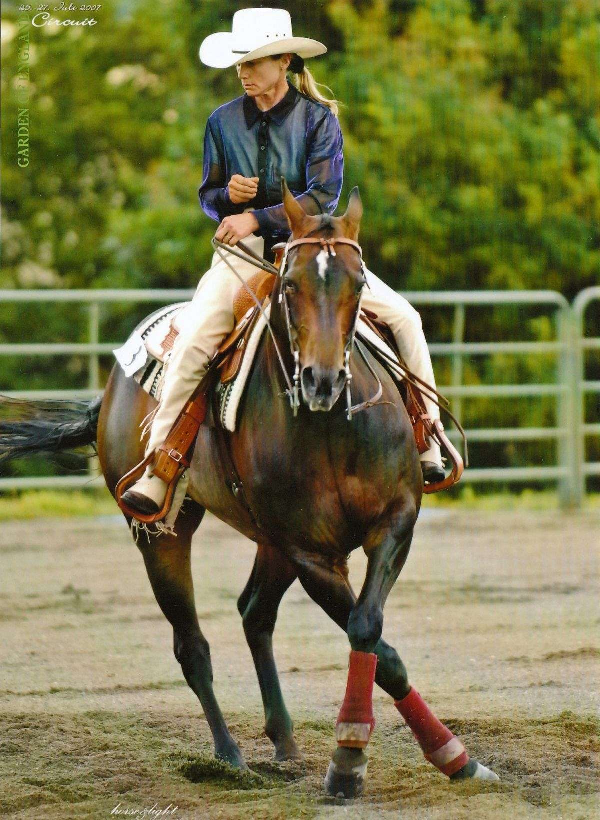 Western Performance Horses on EquineNow