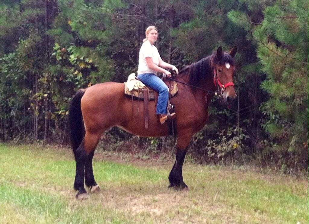 JB Horsemanship on EquineNow