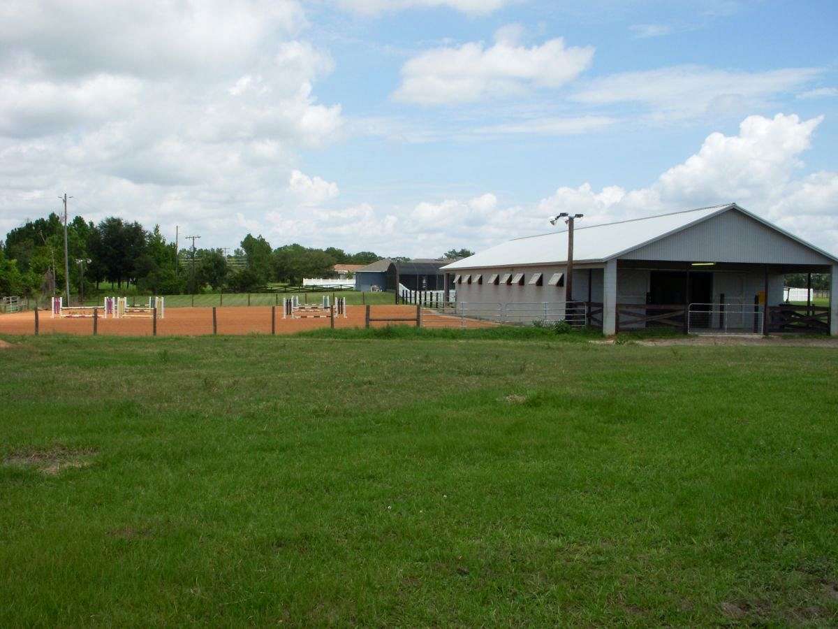 Pine Island Stables on EquineNow