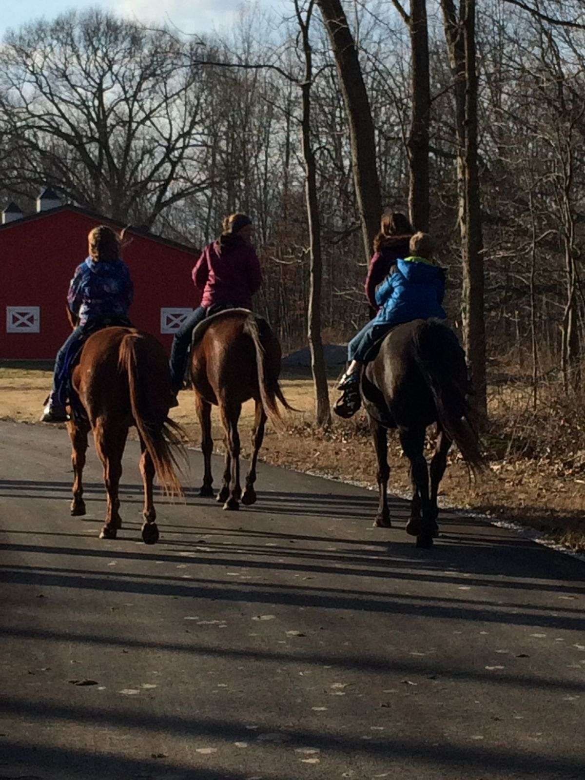 Durham Horse Farm on EquineNow