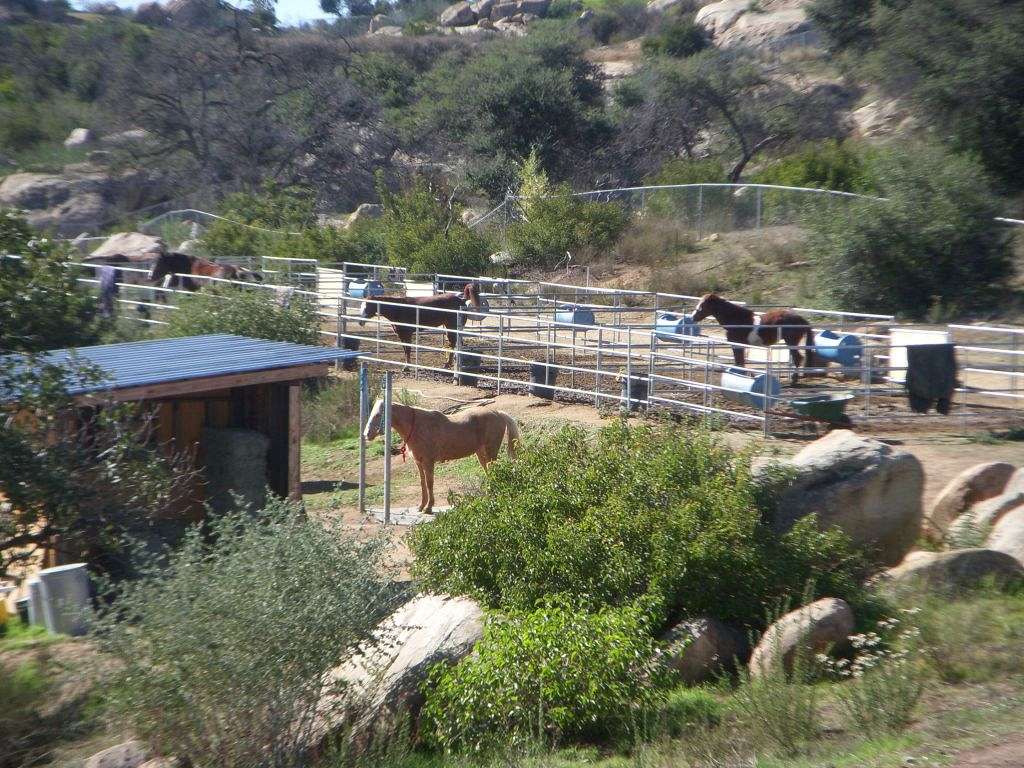 The Little Big Horse Ranch in Jamul CA on EquineNow