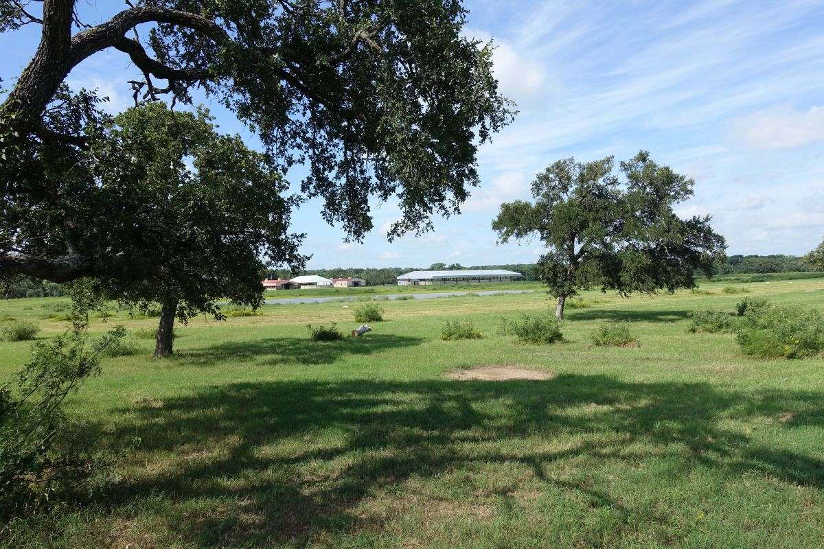 Austin Equestrian Center at Cedar Creek on EquineNow