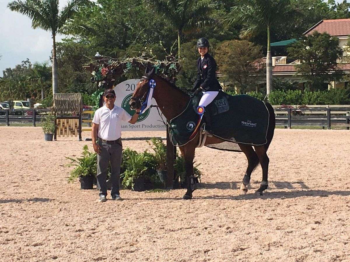 Ss show Jumping Stables on EquineNow