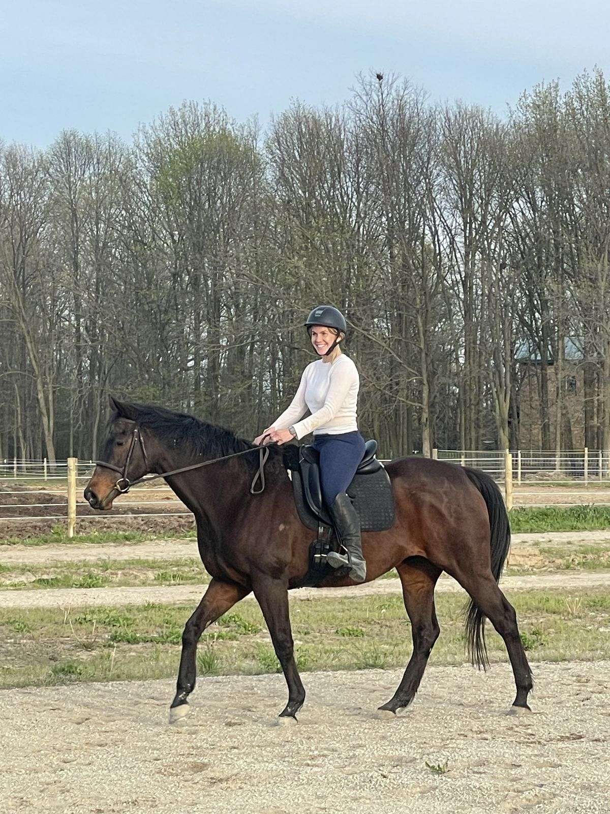 Golden Oak Equestrian Center on EquineNow