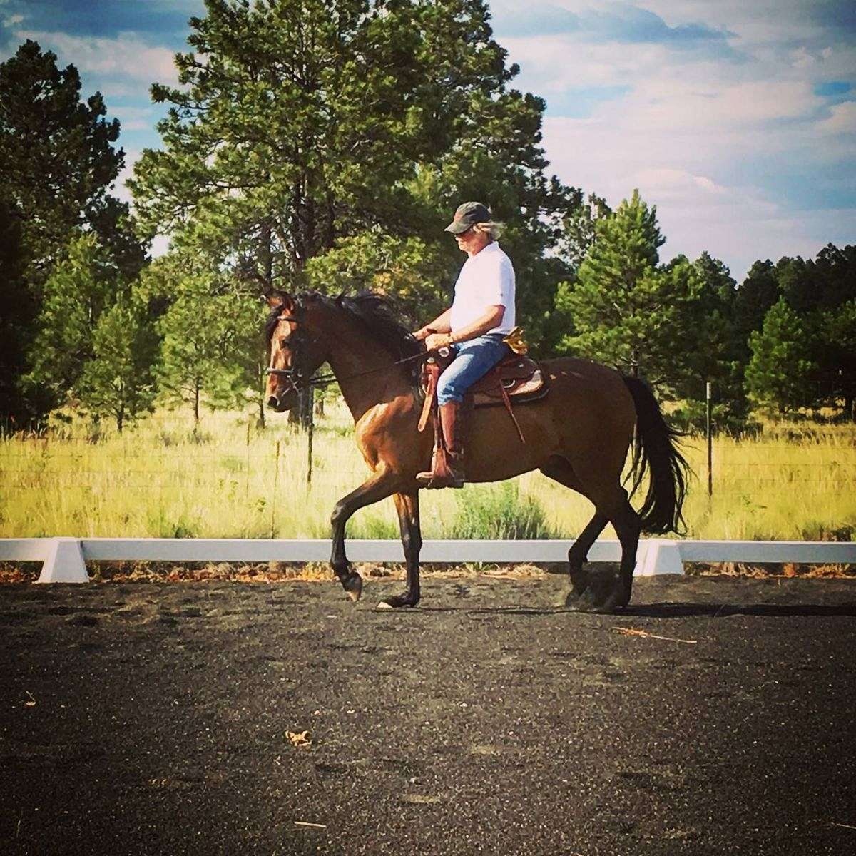 Royal Oaks Ranch on EquineNow