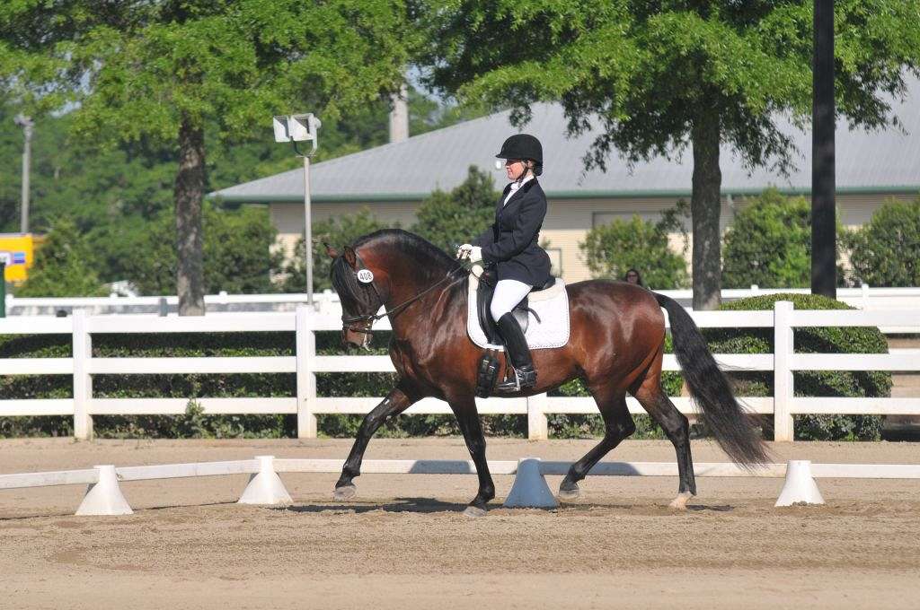 Hiwassee College Equestrian Center on EquineNow
