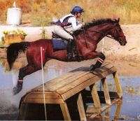 equinenow