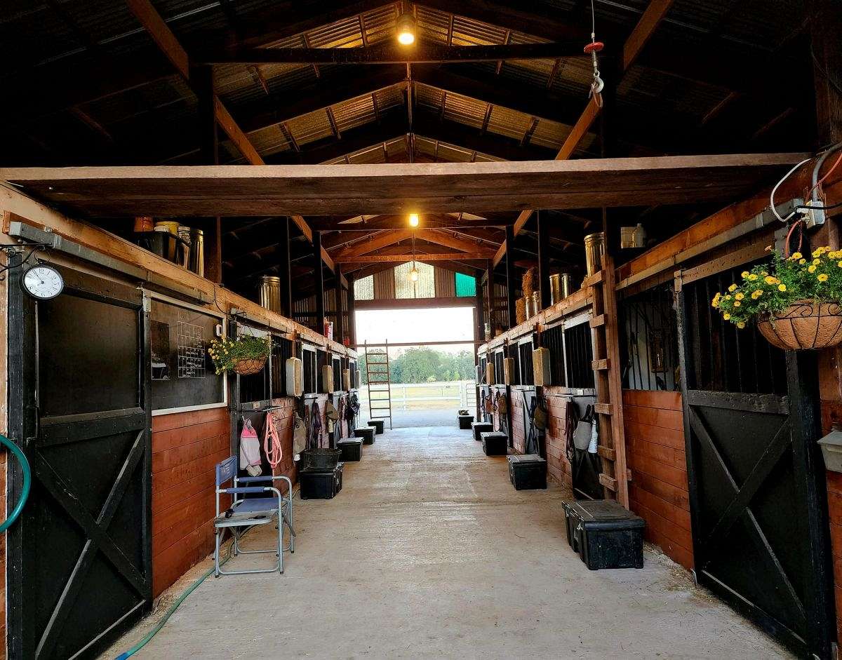 Willow Farm Equestrian Center on EquineNow