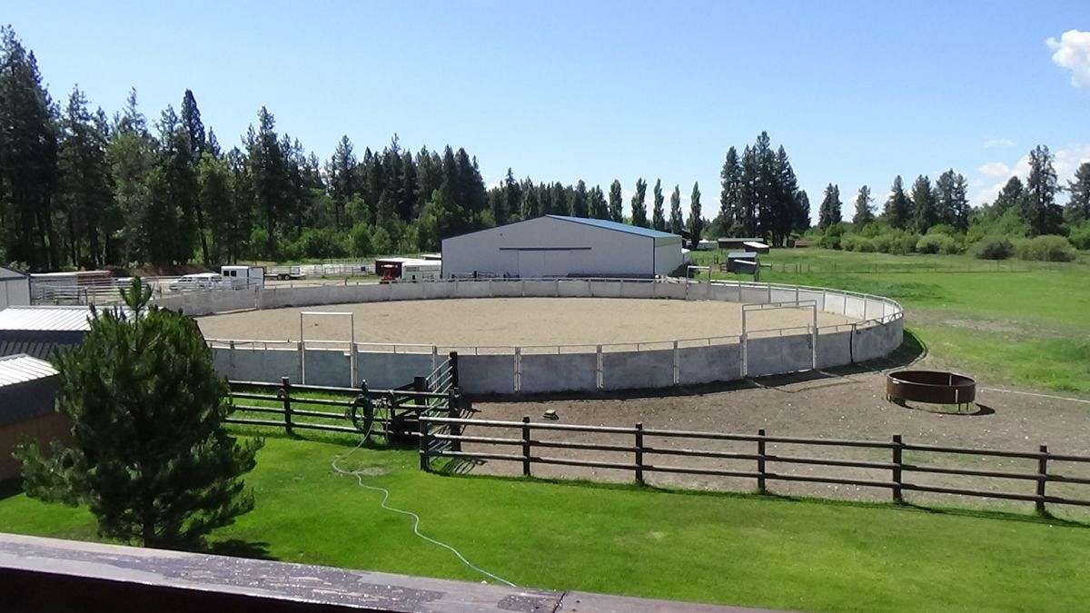 Double C Bar Paints Quarter Horses on EquineNow