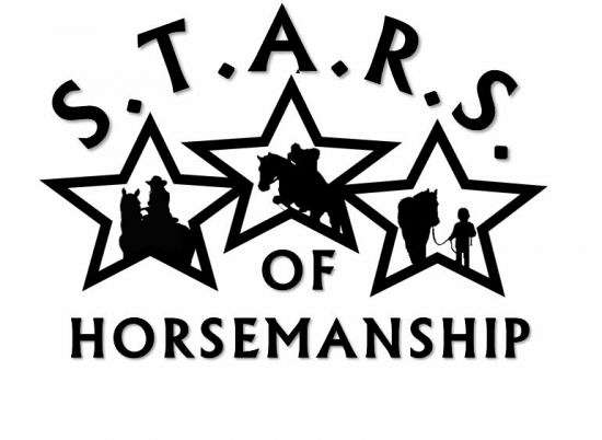 S.T.A.R.S. of Horsemanship Riding Lessons Leasing on EquineNow