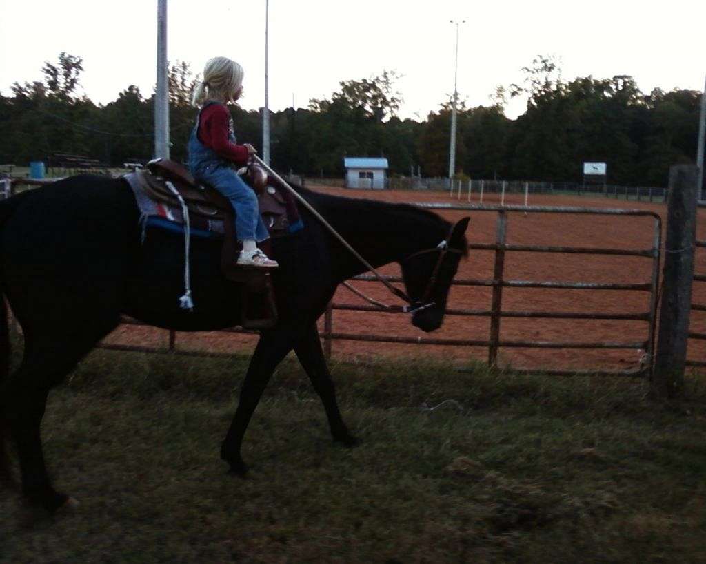 Sandy Bottom Stables on EquineNow