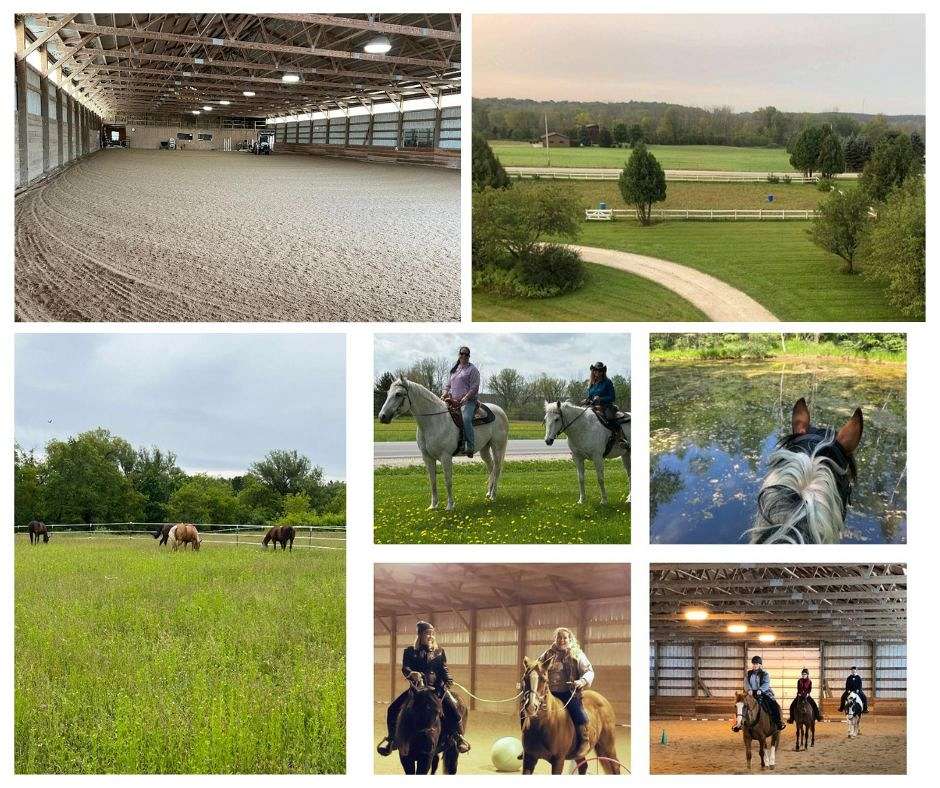 Breezy Oak Stables LLC on EquineNow