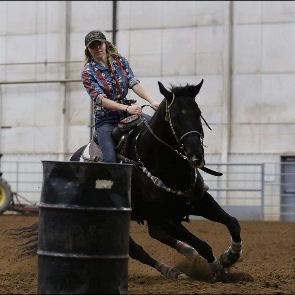 Red Feather Equestrian on EquineNow