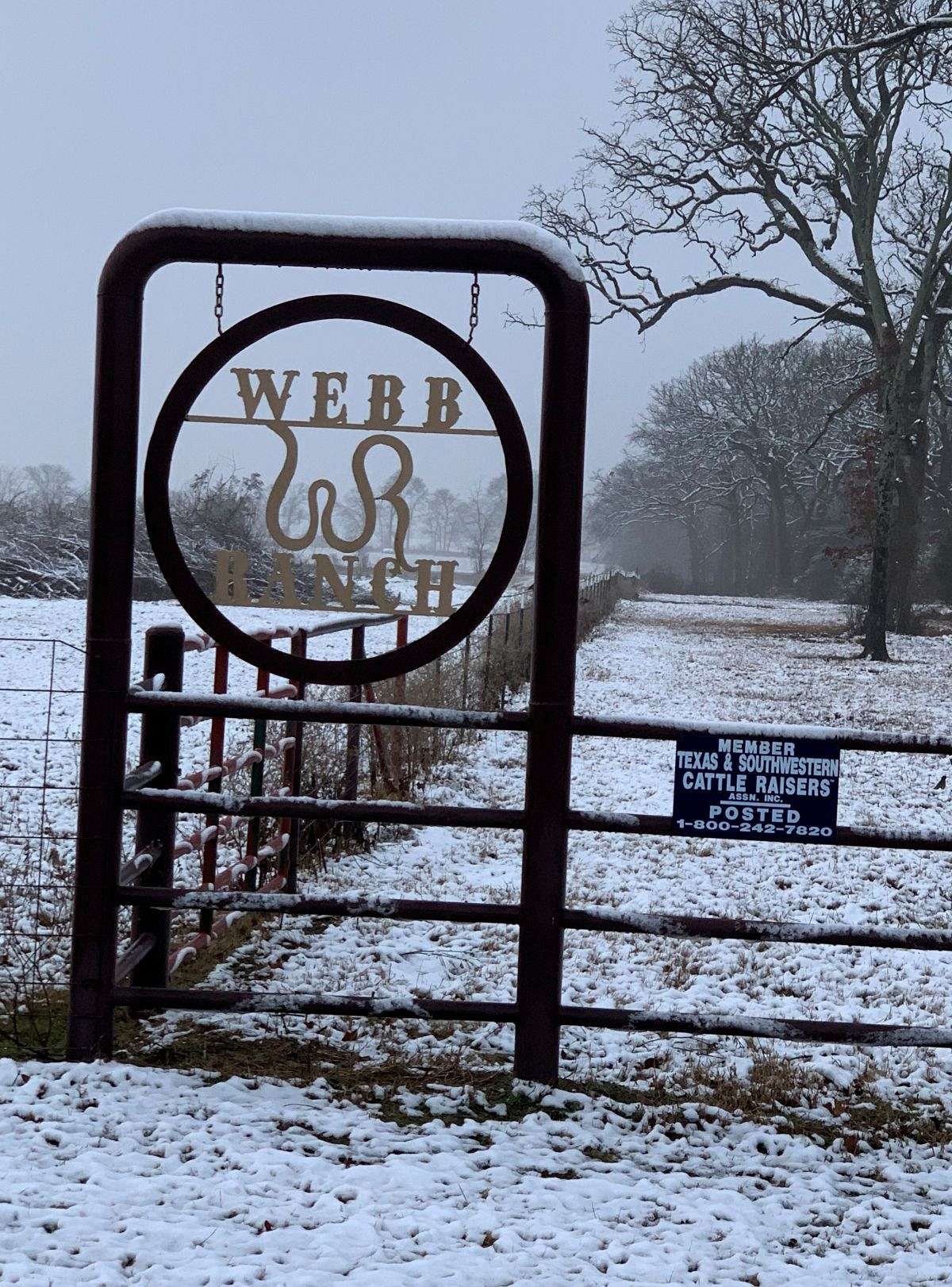 b Ranch on EquineNow