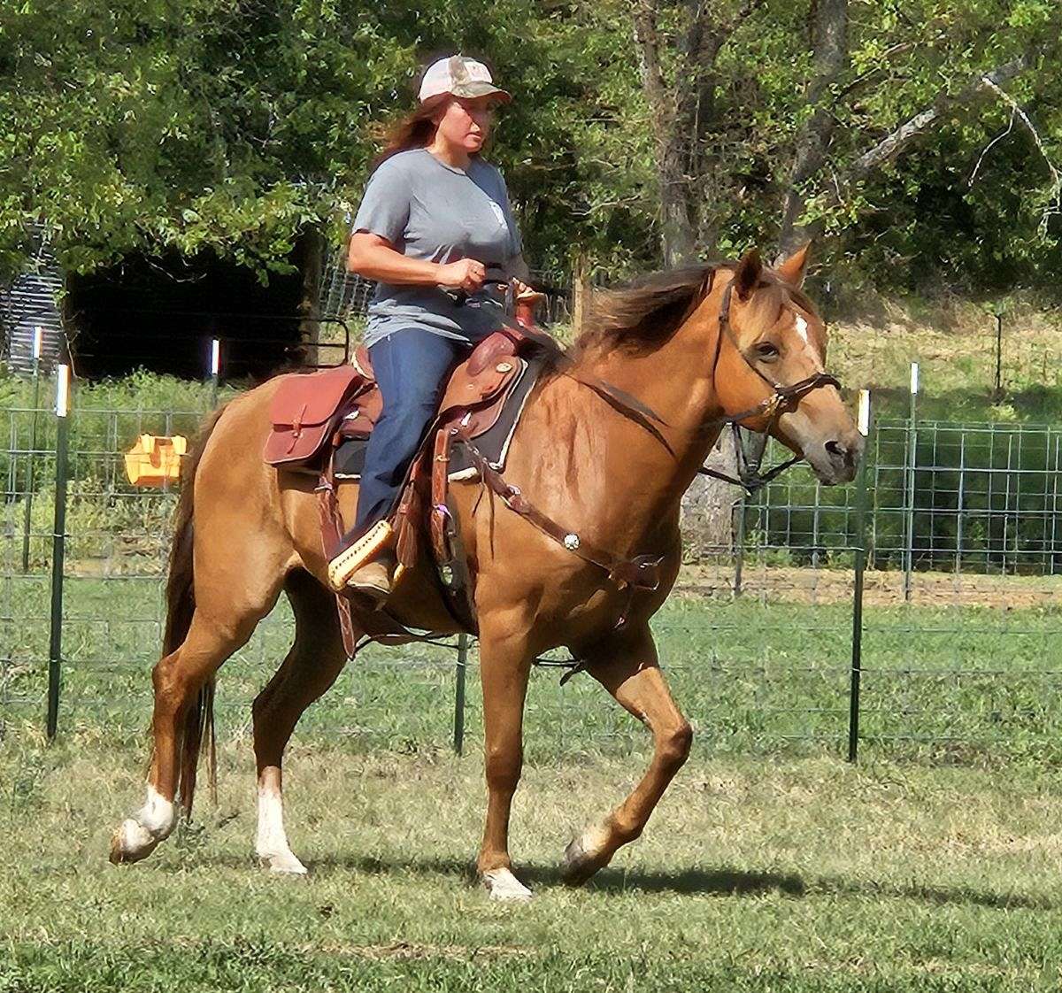 Star Horse Sorrel Mare