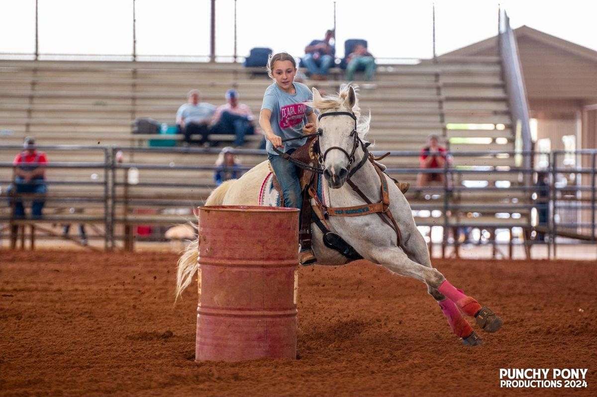 Safe Barrel Mare