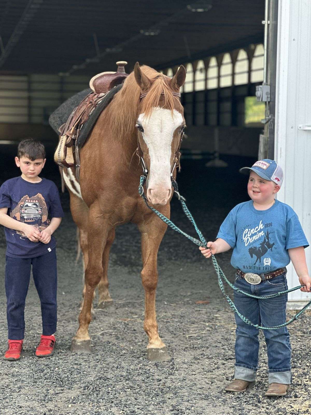 A True Unicorn APHA/AQHA Sorrel Paint Gelding