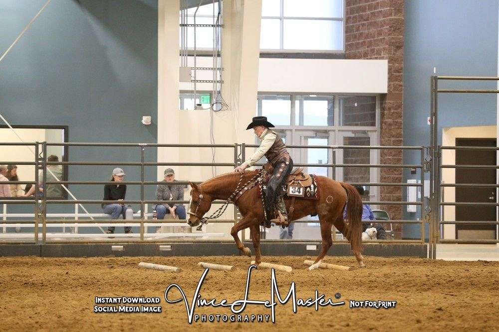 Patches - Wonderful All-Around Ranch Horse 5 yo Sorrel AQHA/APHA Gelding!