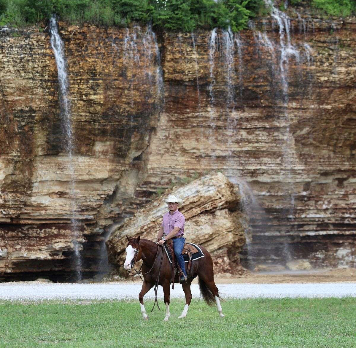 Spike - Exceptional Reining & Ranch Prospect 3 Yr Old Sorrel AQHA Gelding!
