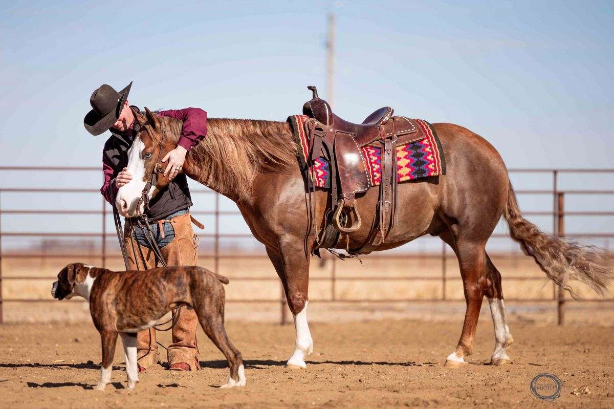 Jigsaw - Jaw Dropping Stunning 6 Yr Old Sorrel AQHA APHA Gelding.