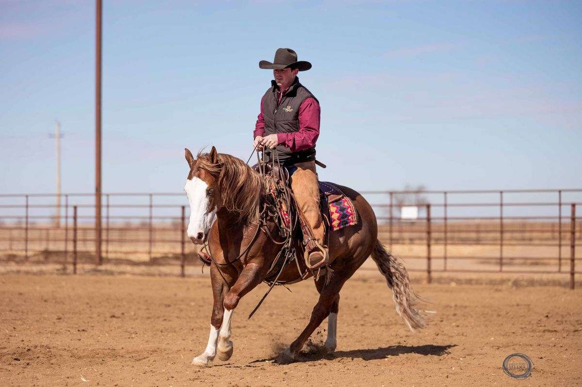 Jigsaw - Jaw Dropping Stunning 6 Yr Old Sorrel AQHA APHA Gelding.