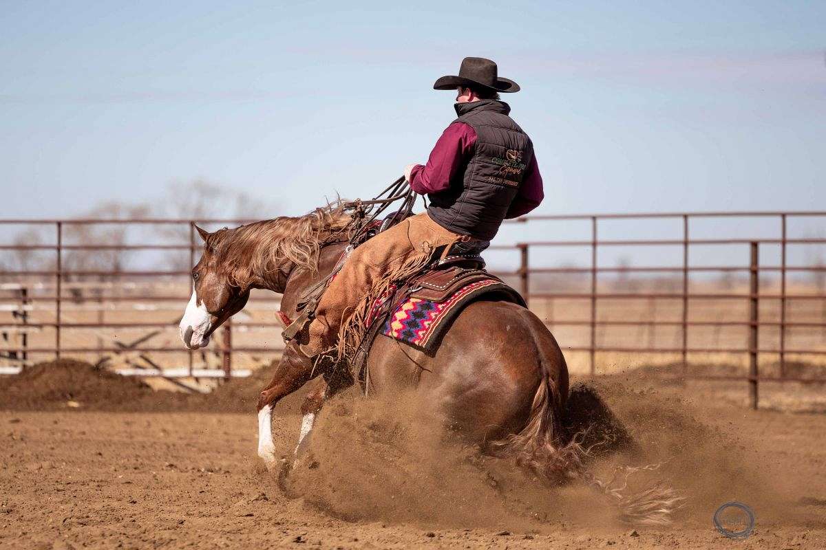 Jigsaw - Jaw Dropping Stunning 6 Yr Old Sorrel AQHA APHA Gelding.