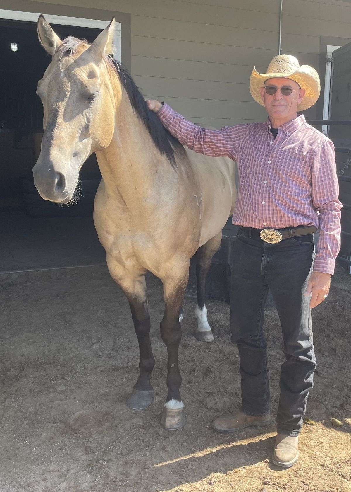 Quartered Rodeo 14 Year Old Quarter Horse; Rodeo, Trails, Ranch