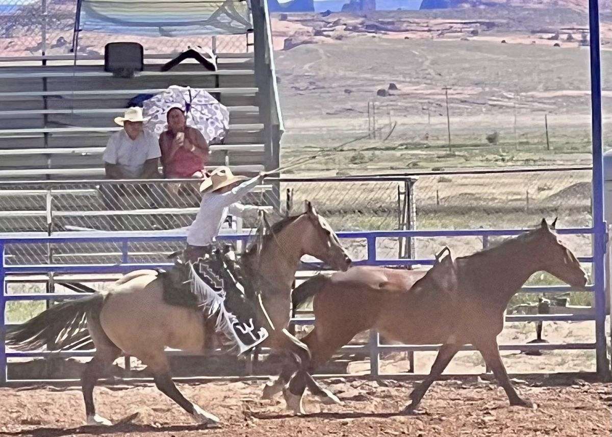 Quartered Rodeo 14 Year Old Quarter Horse; Rodeo, Trails, Ranch